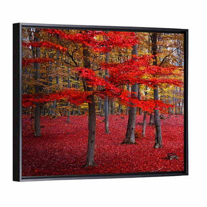 Crimson Autumn Forest Wall Art