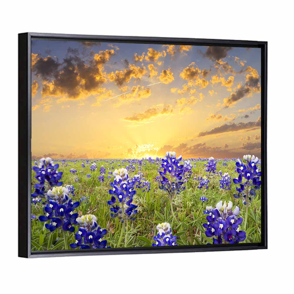 Bluebonnet Field at Sunset Wall Art