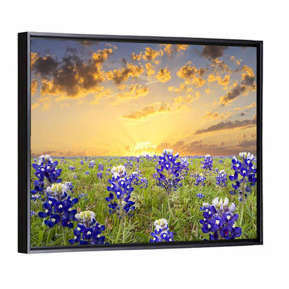 Bluebonnet Field at Sunset Wall Art