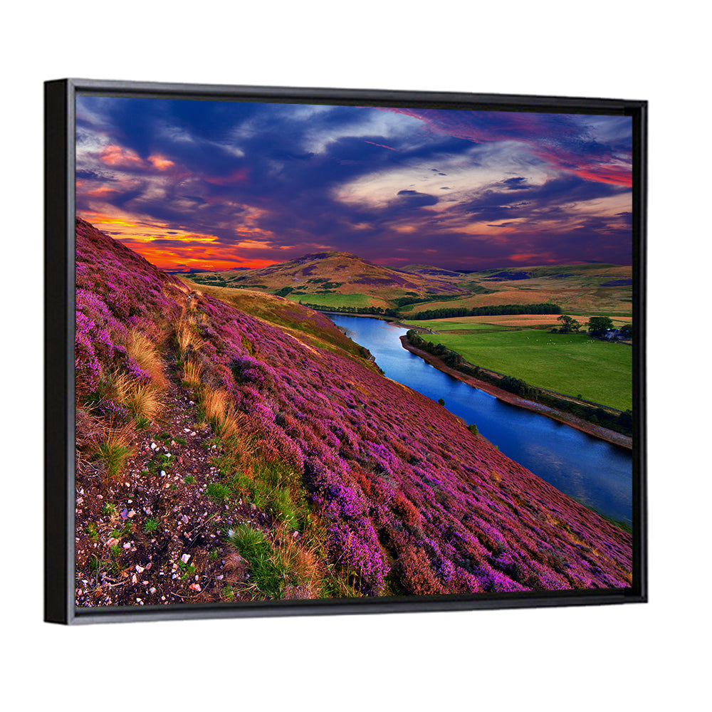 Pentland Hills Heather, Edinburgh Wall Art