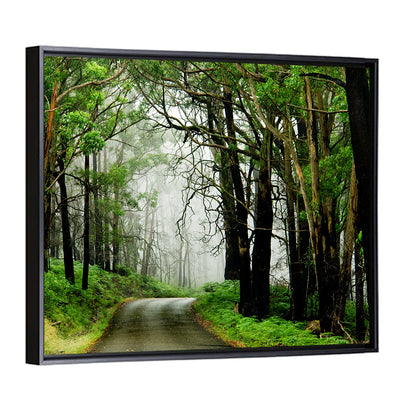 Misty Eucalyptus Road Wall Art