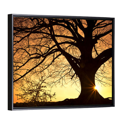 Willow Tree Sunset Wall Art