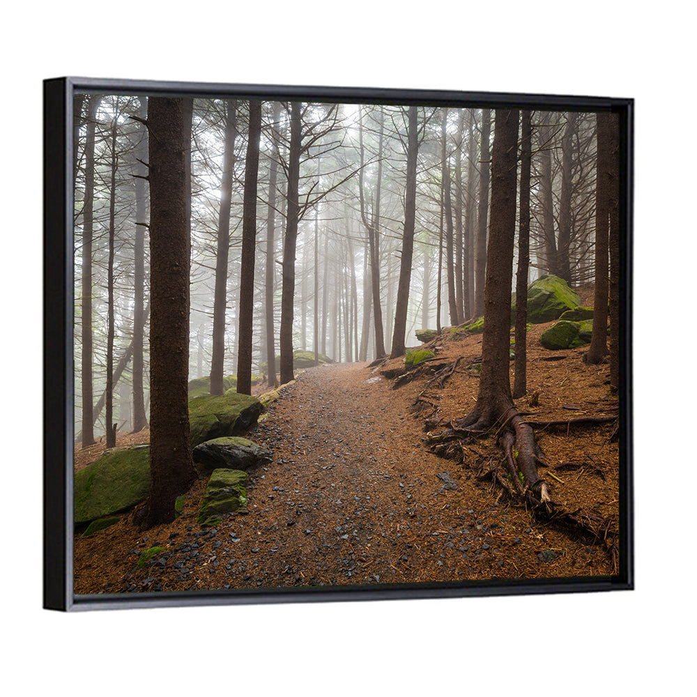 Misty Appalachian Trail Path Wall Art