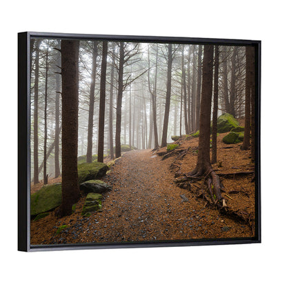 Misty Appalachian Trail Path Wall Art