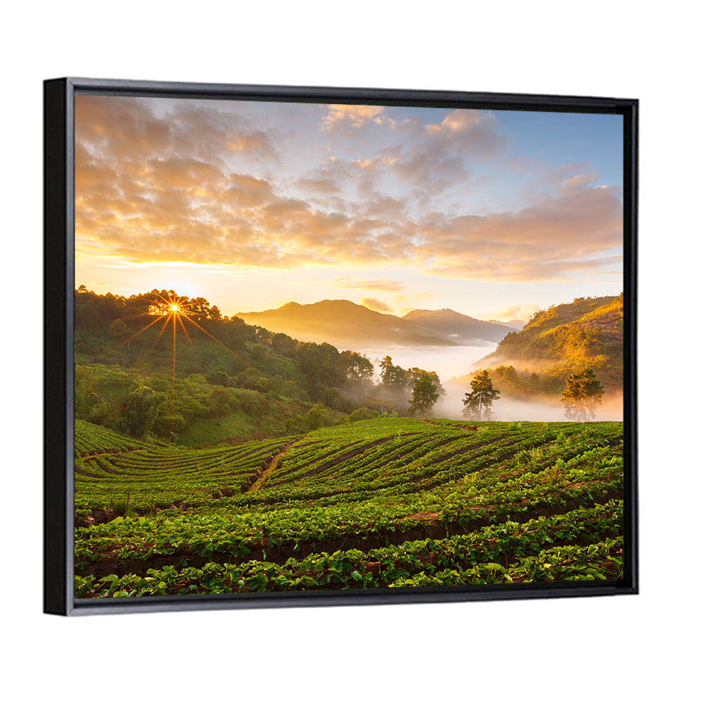 Strawberry Fields Sunrise Wall Art
