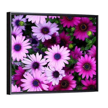 Pink and Purple Daisies Wall Art