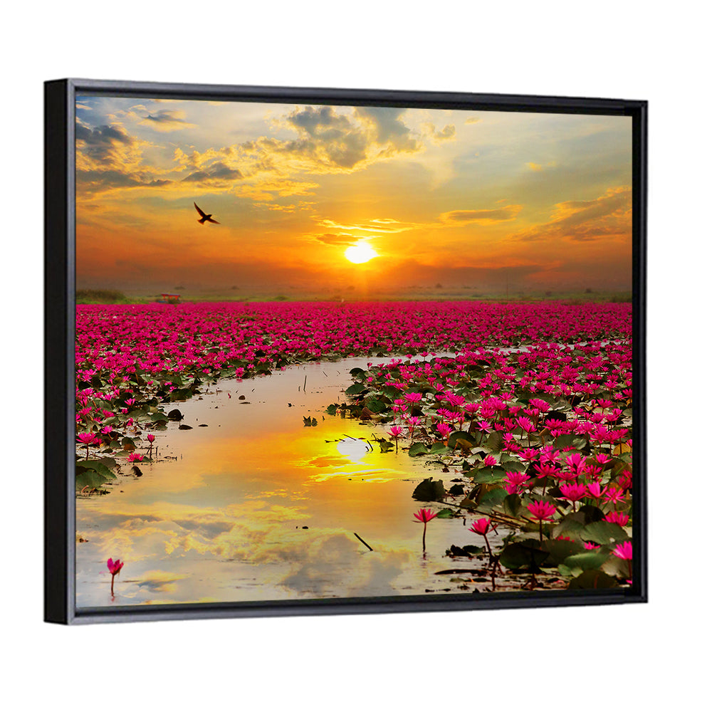 Golden Hour Lotus Field Wall Art