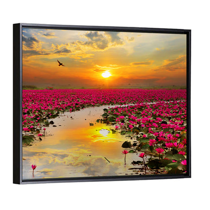 Golden Hour Lotus Field Wall Art