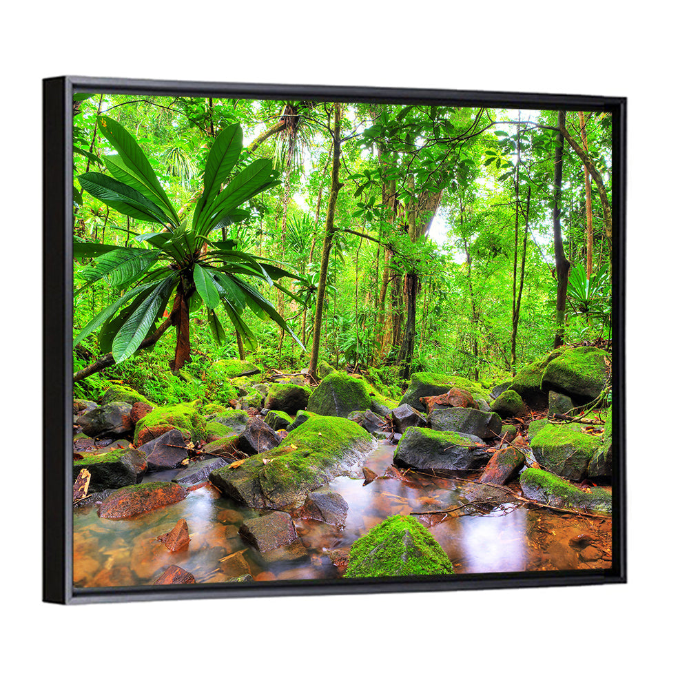 Mossy Rainforest Stream Wall Art