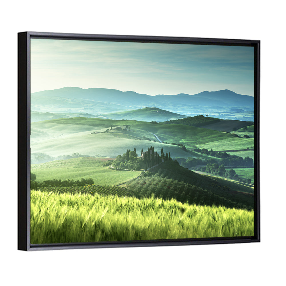 Misty Rolling Hills with Cypresses Wall Art