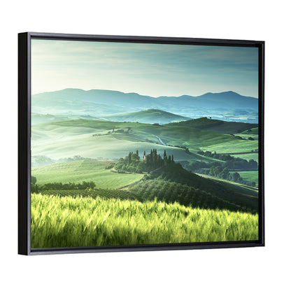 Misty Rolling Hills with Cypresses Wall Art