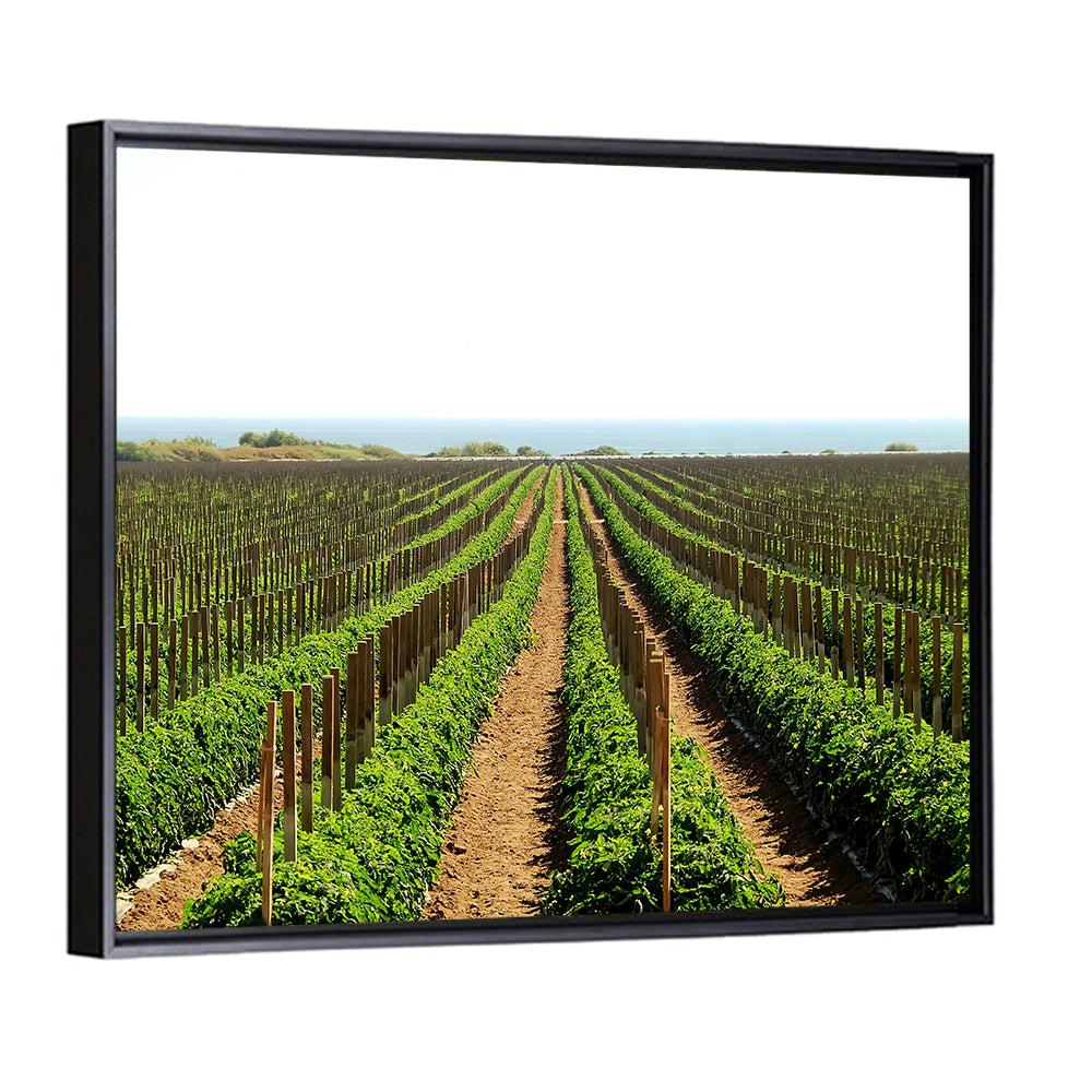 Tomato Fields Wall Art