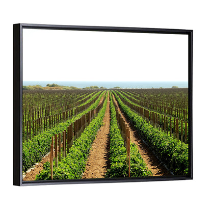 Tomato Fields Wall Art