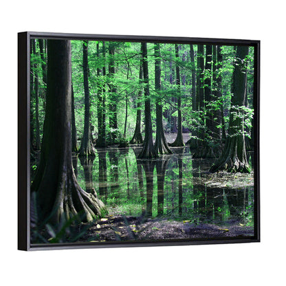 Congaree Swamp Reflection Wall Art