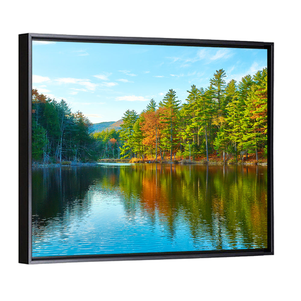White Mountain Forest Reflections Wall Art