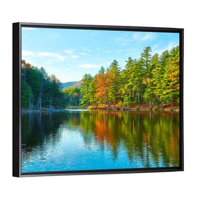 White Mountain Forest Reflections Wall Art