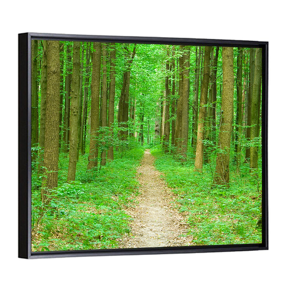 Green Forest Pathway Wall Art