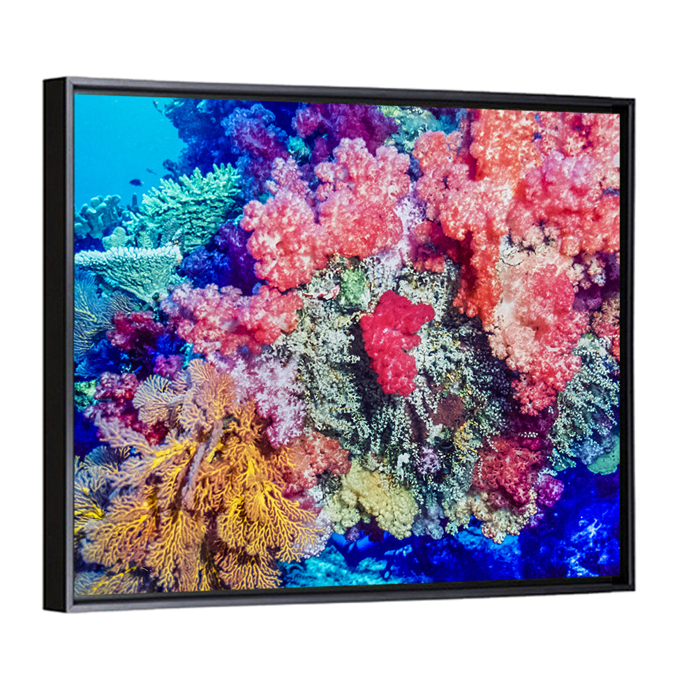 Coral Reef Wall Art