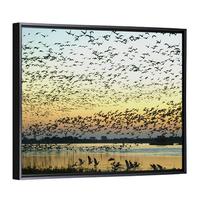 Snow Geese Over River Wall Art