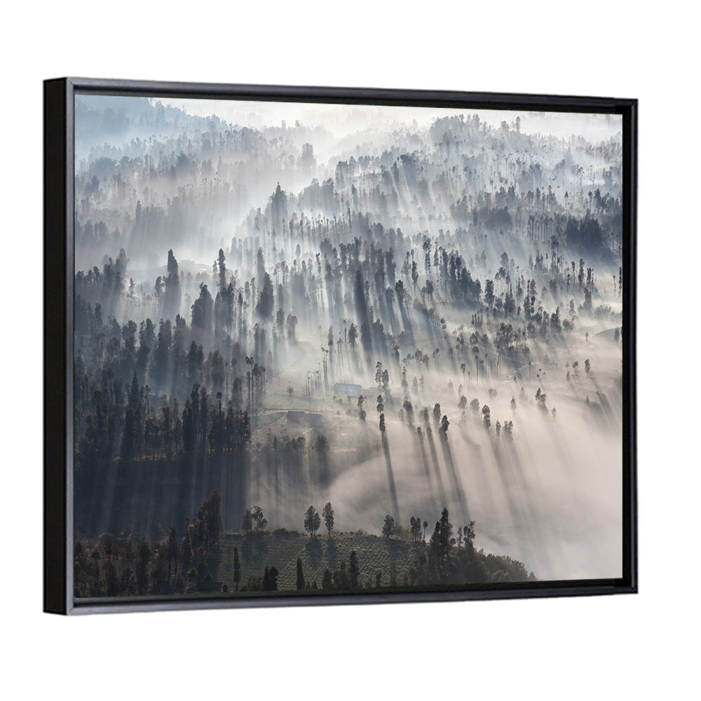 Misty Forest Sunrise Wall Art