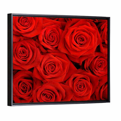 Red Roses Close Up Wall Art