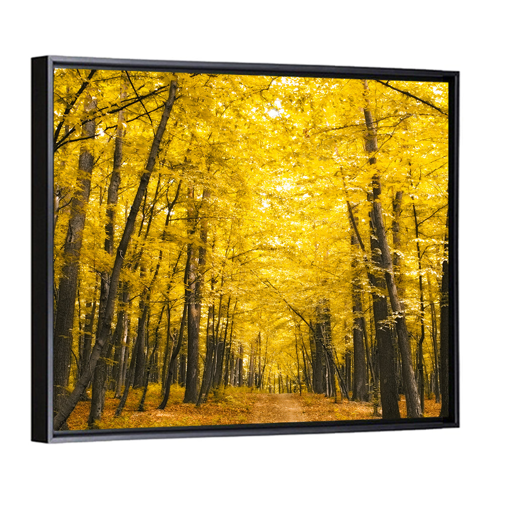 Yellow Autumn Forest Path Wall Art