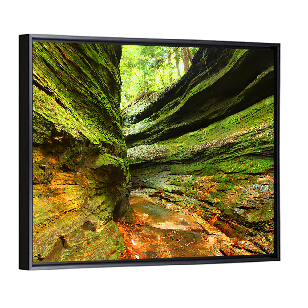 Turkey Run State Park Canyon Wall Art