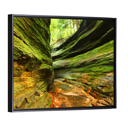 Turkey Run State Park Canyon Wall Art