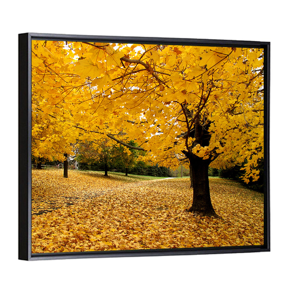 Baltimore Autumn Foliage Wall Art