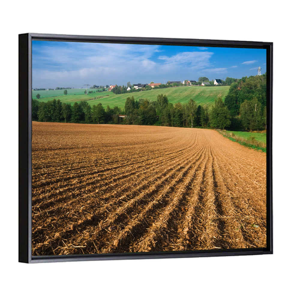 Kansas Wheat Cultivation Farm Wall Art