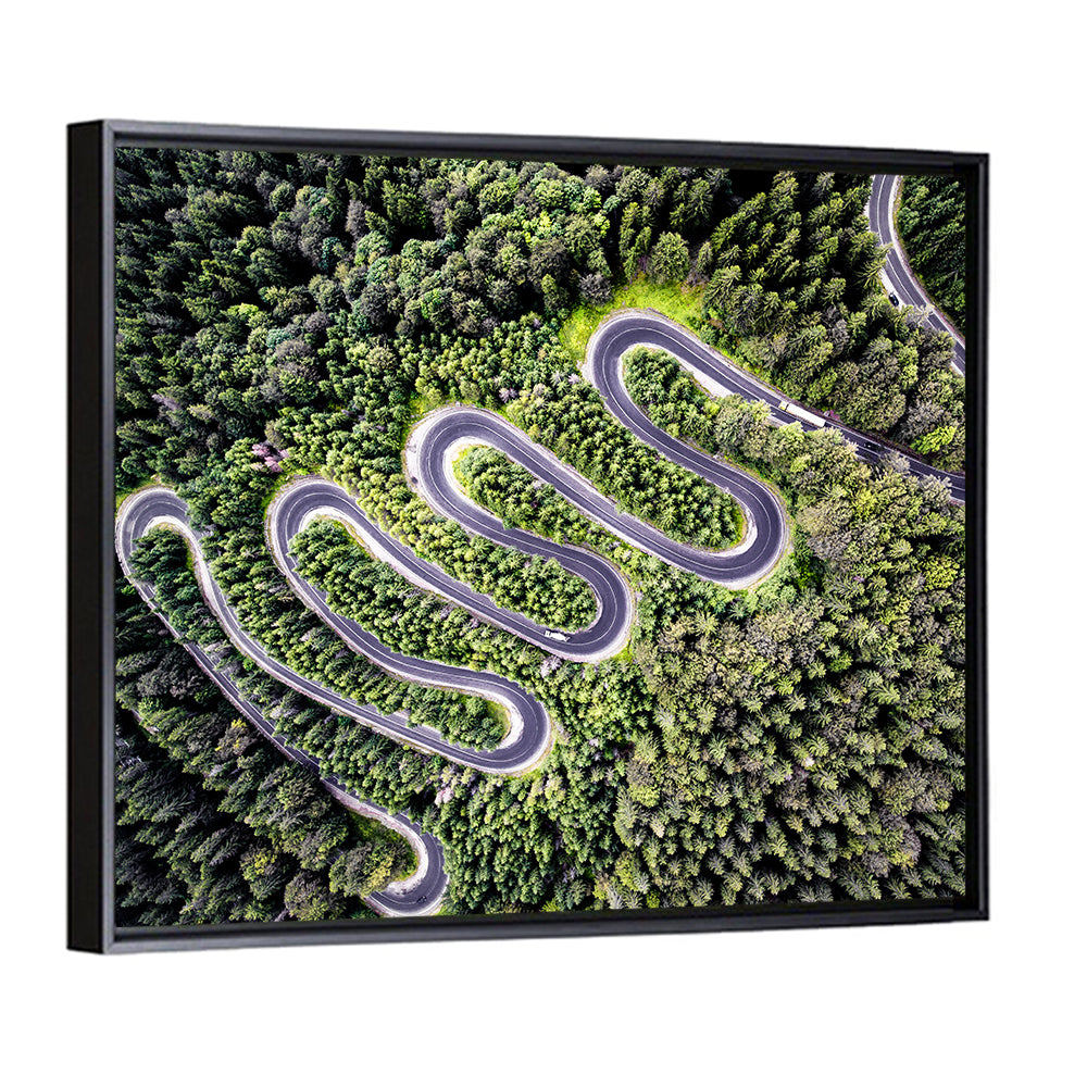 Serpentine Mountain Road Wall Art
