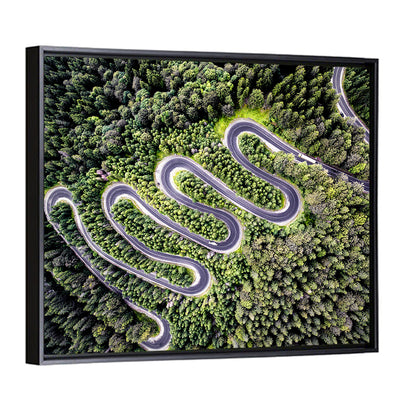 Serpentine Mountain Road Wall Art