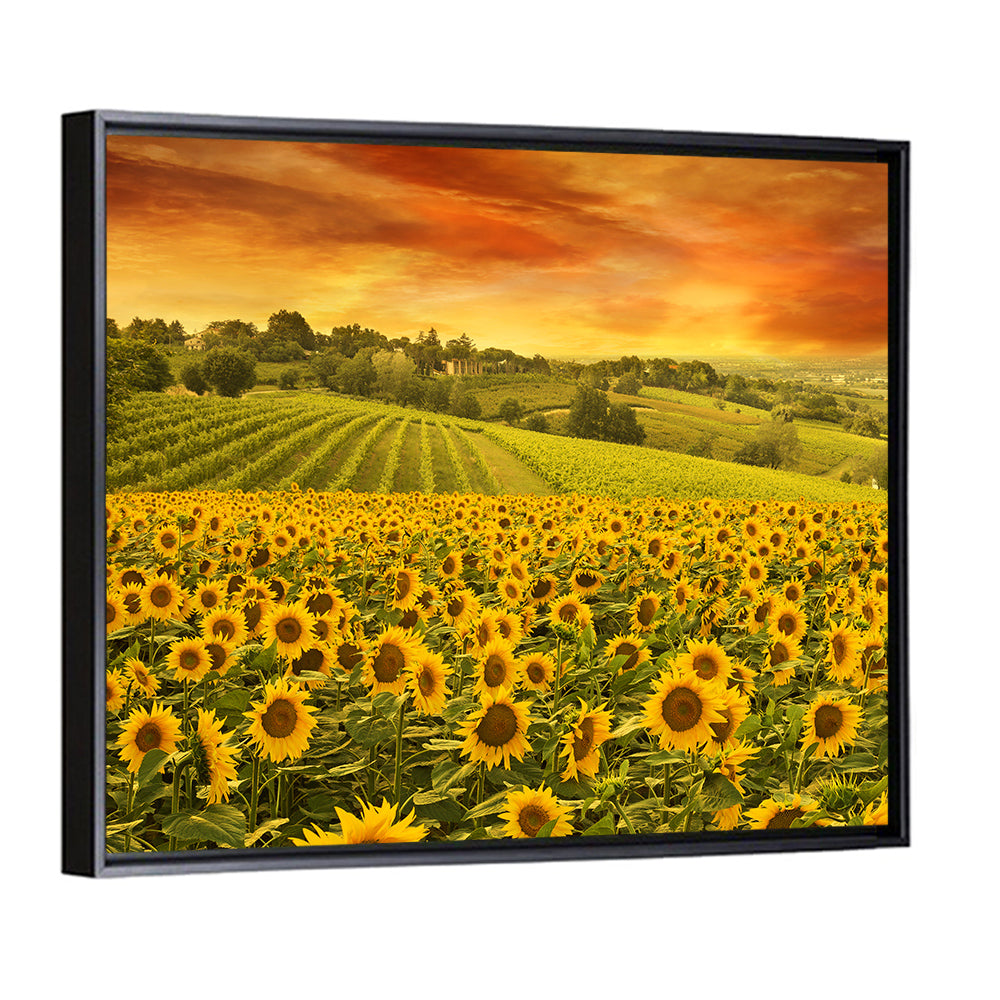 Sunflower Field at Golden Hour Wall Art
