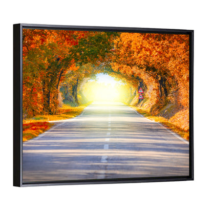 Autumn Trees Tunnel Wall Art