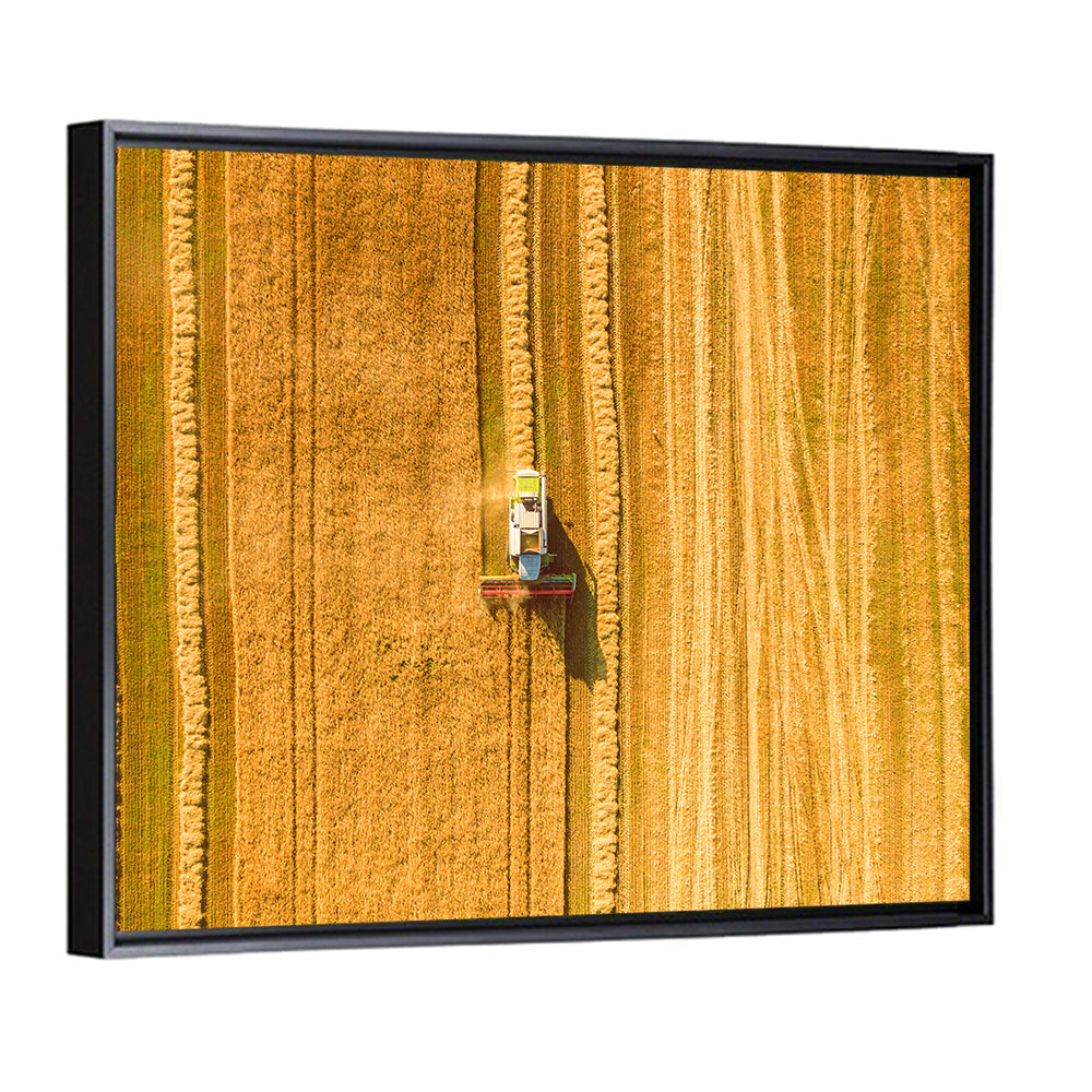 Aerial Wheat Harvest Wall Art