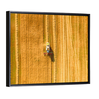 Aerial Wheat Harvest Wall Art