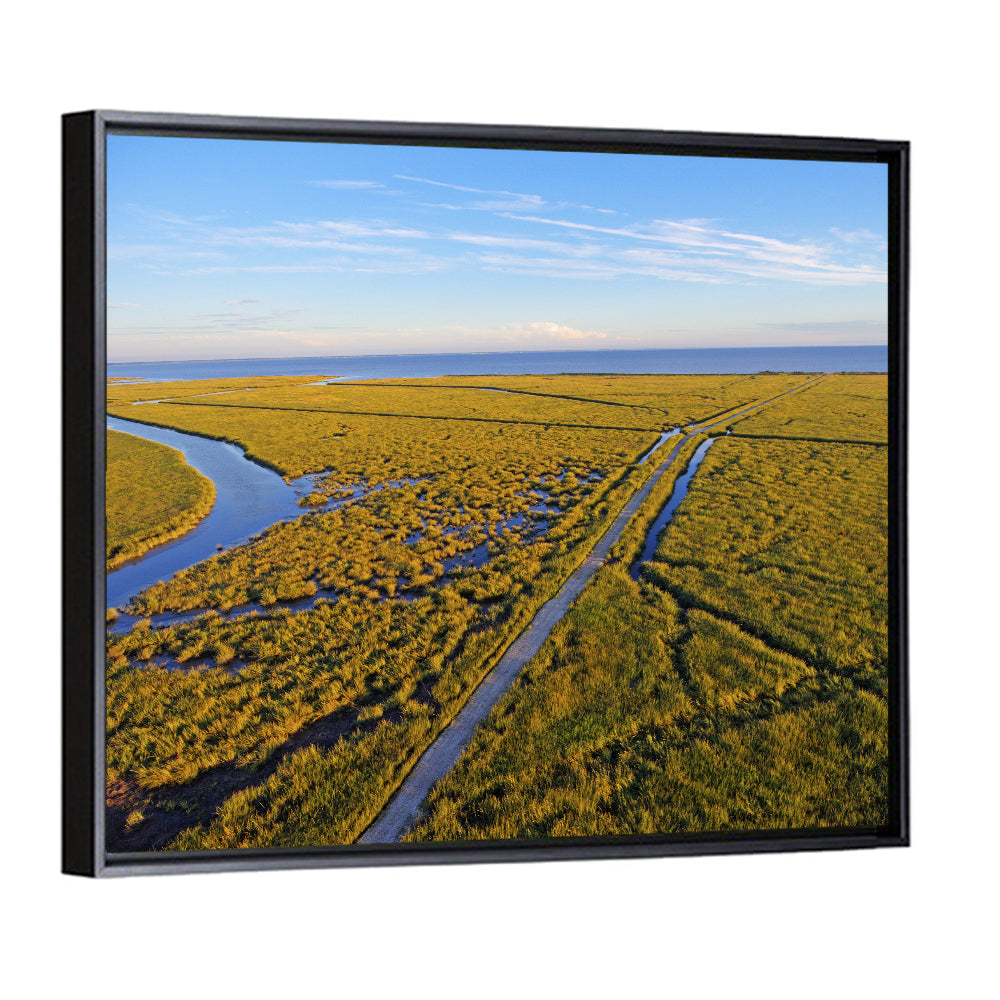 Delaware Bay Marshland Aerial Wall Art