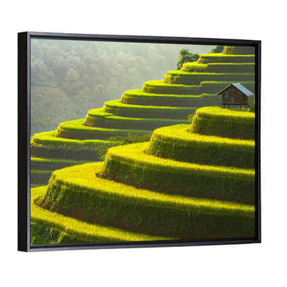 Golden Rice Terraces Wall Art
