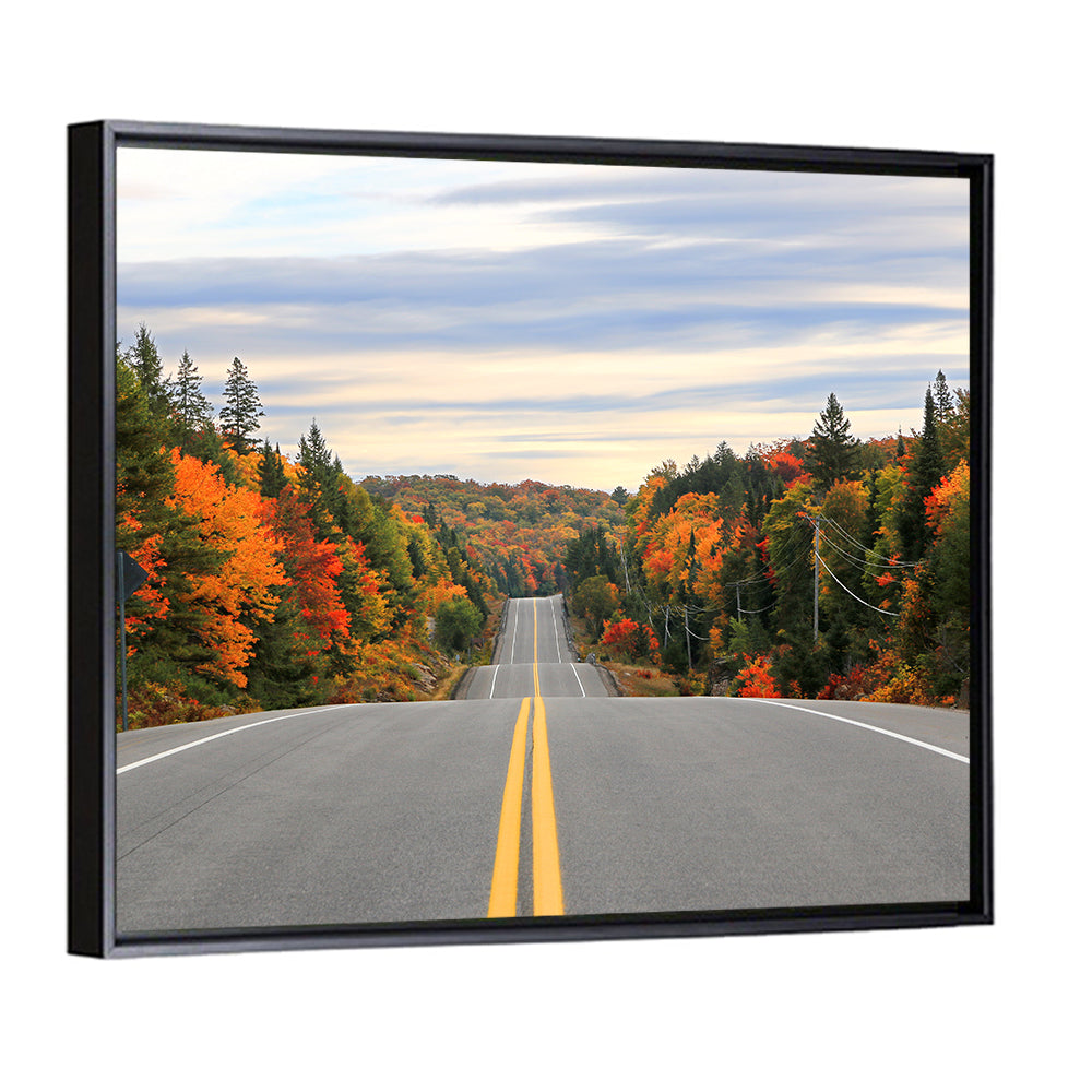 Algonquin Park Road Wall Art