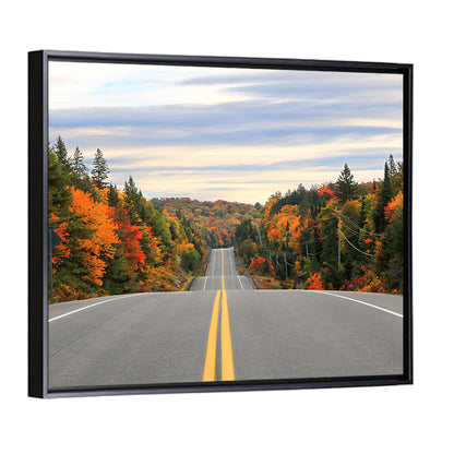 Algonquin Park Road Wall Art