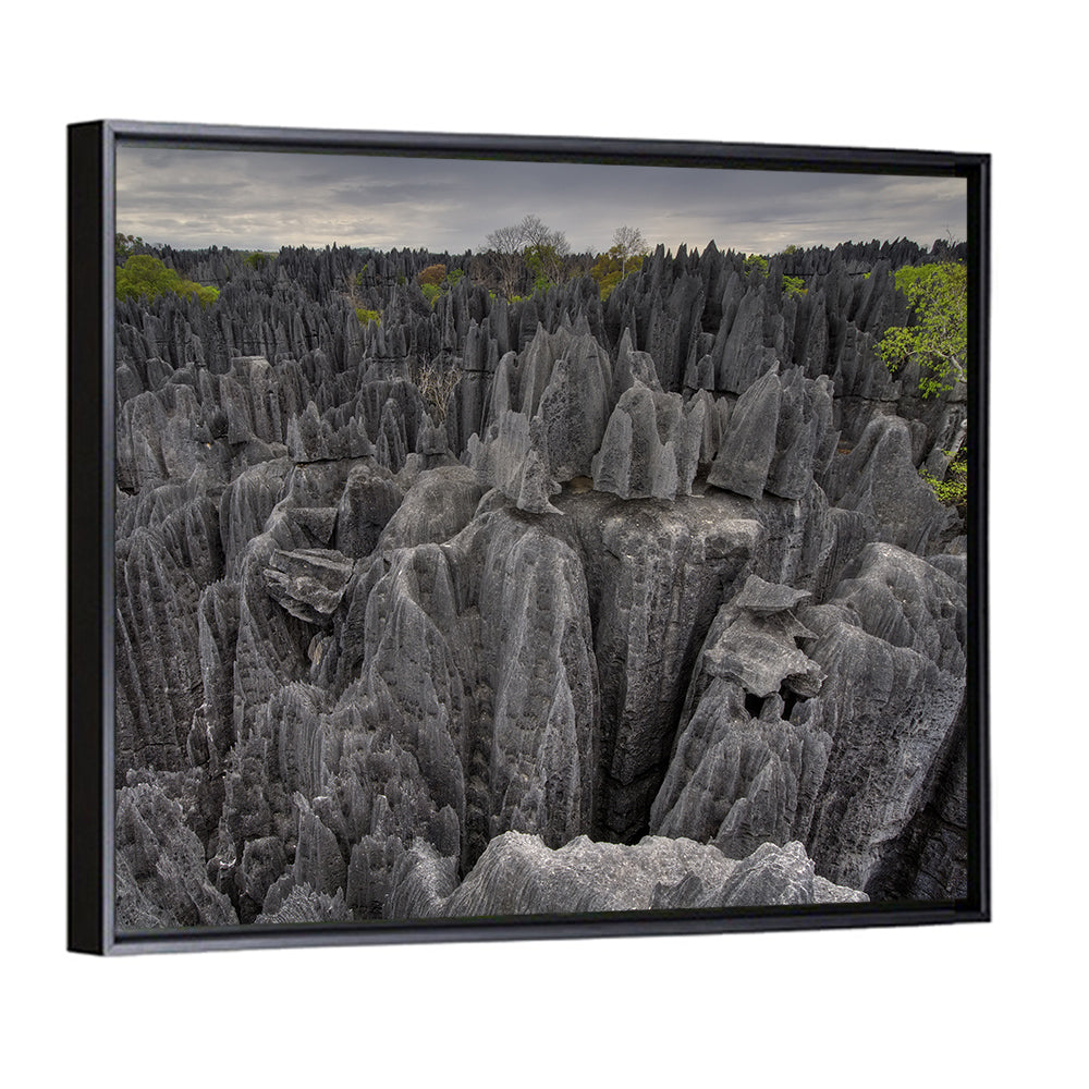 Tsingy De Bemaraha Pinnacles Wall Art