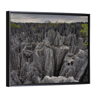 Tsingy De Bemaraha Pinnacles Wall Art