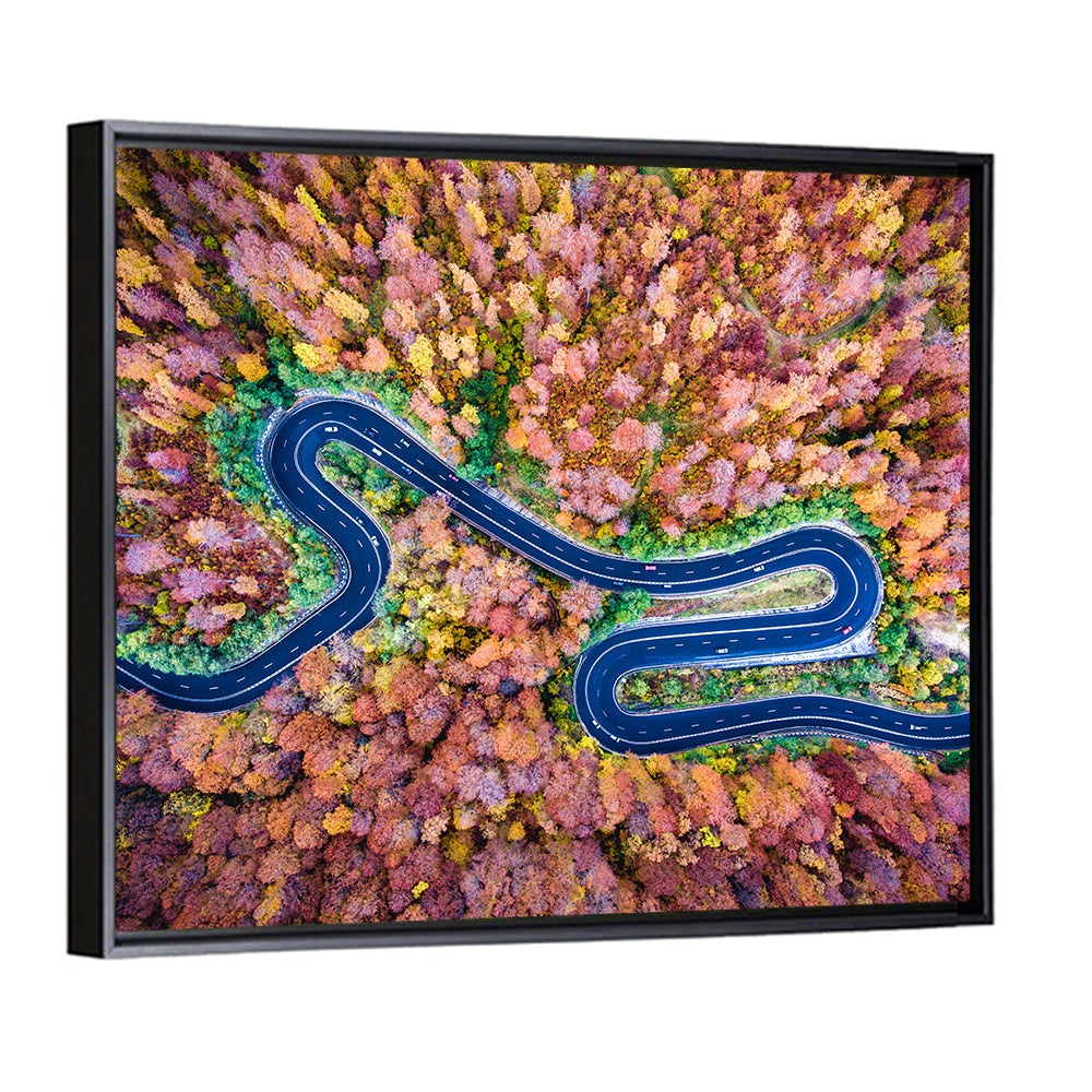 Aerial Winding Road Wall Art
