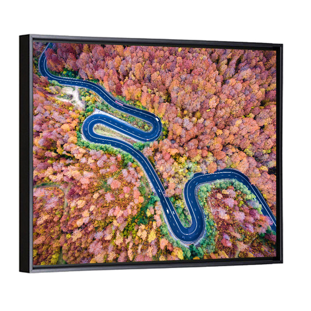 Winding Autumn Road Wall Art