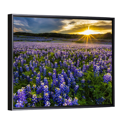 Bluebonnet Field Texas Wall Art