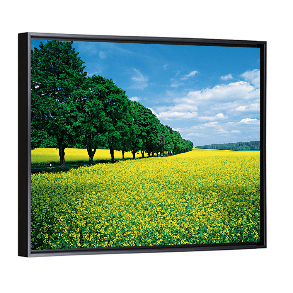 Spring Field of Yellow Flowers Wall Art