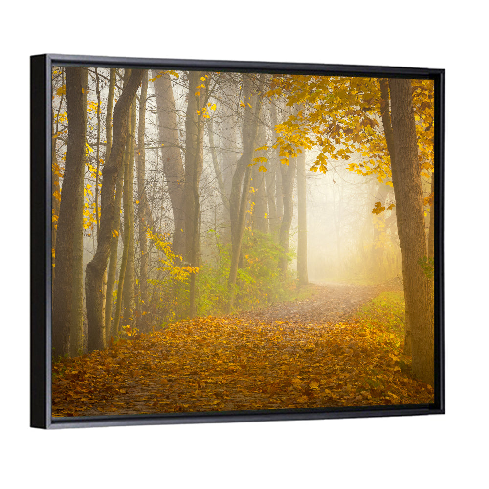 Cuyahoga Valley Autumn Path Wall Art