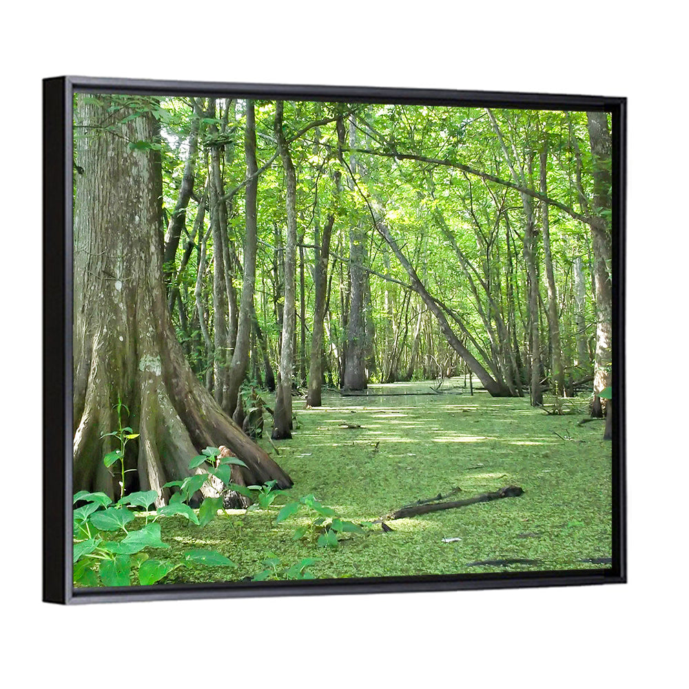 Summer Cypress Bayou, Louisiana Wall Art