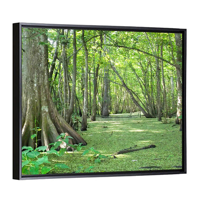 Summer Cypress Bayou, Louisiana Wall Art