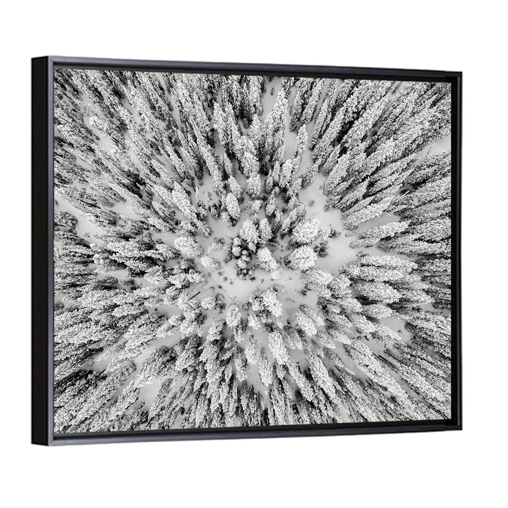 Snowy Aerial Forest Wall Art